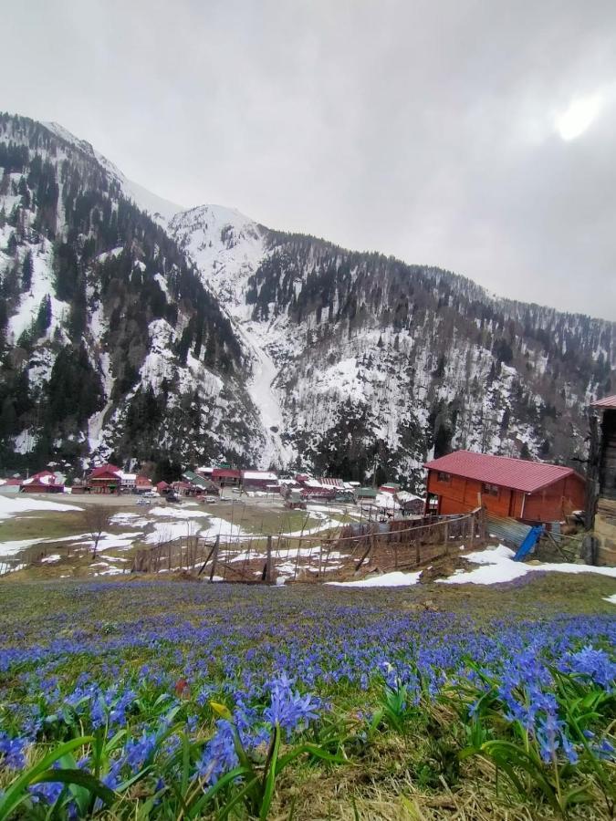 Ayder Yardimci Apart Exteriér fotografie