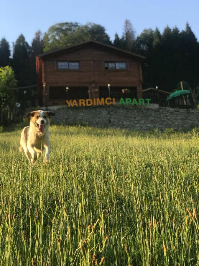 Ayder Yardimci Apart Exteriér fotografie