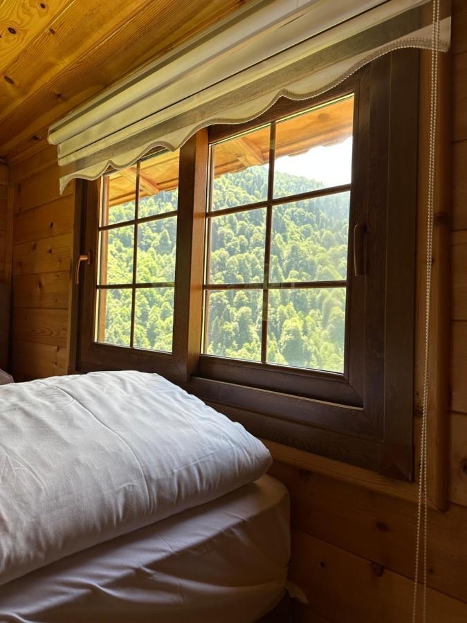Ayder Yardimci Apart Exteriér fotografie